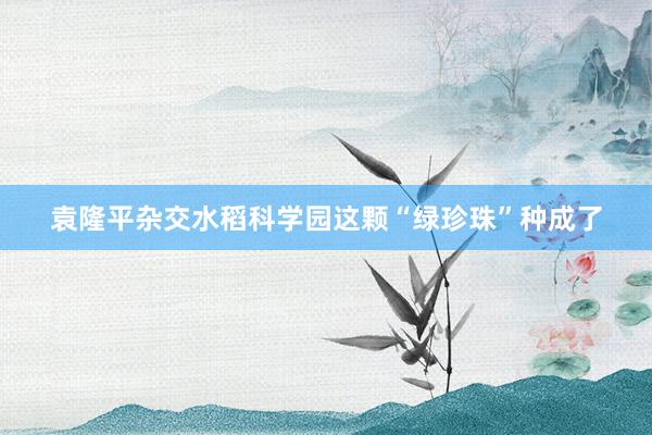 从一份合同到一条产业链，为何优质项目青睐眉山？